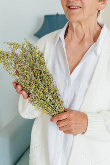 Гіркий полин (лат. Artemisia absinthium) - Grandma's Pharm