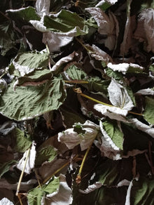 Малина, листя (лат. Rubus idaeus) - Grandma's Pharm