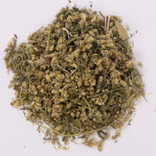 Деревій (лат. Achillea millefolium) - Grandma's Pharm