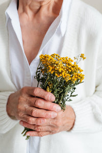 Пижмо (лат. Tanacetum vulgare) - Grandma's Pharm